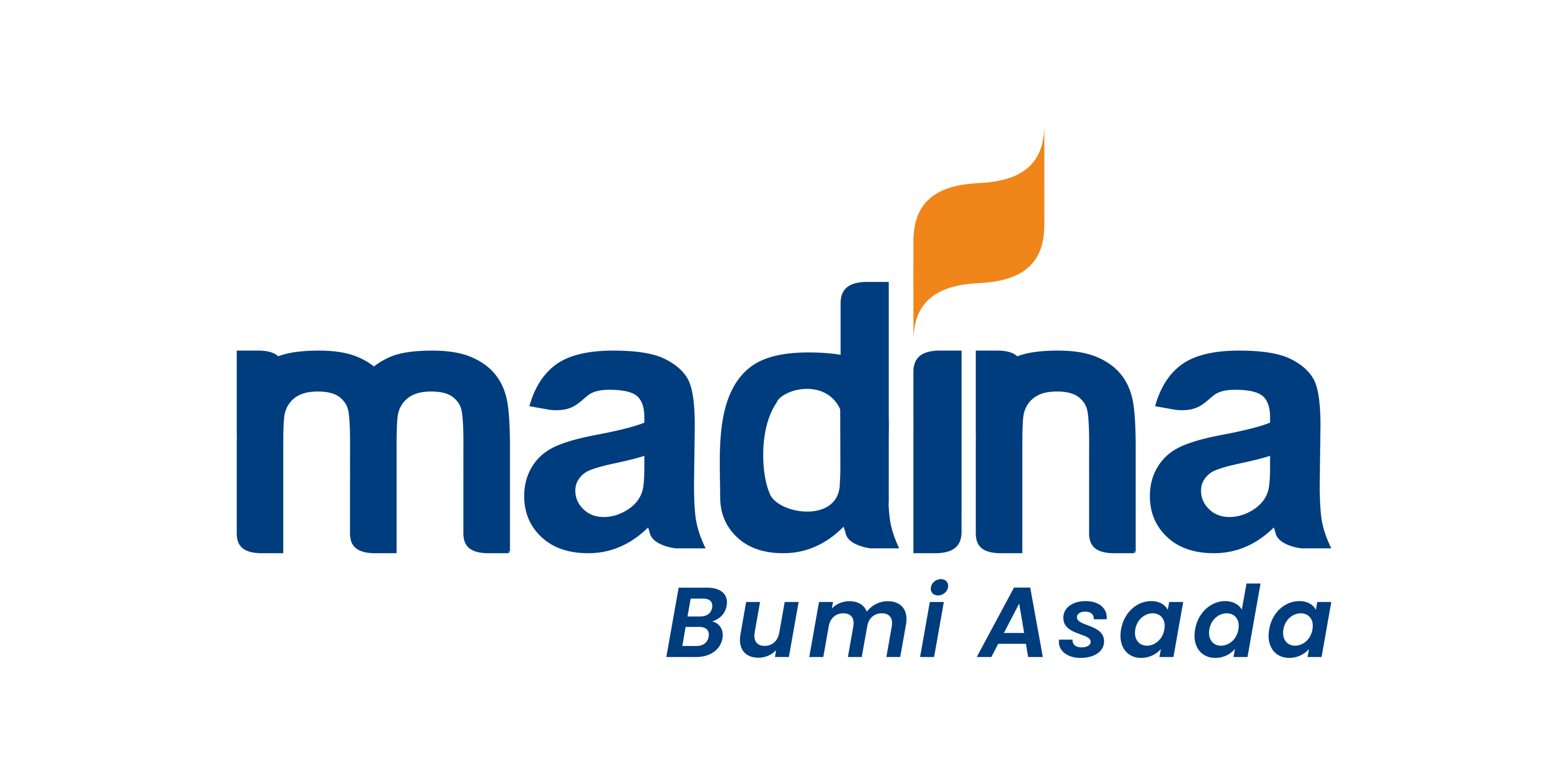 logo madina